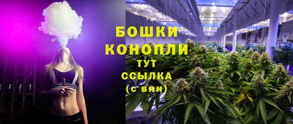 молекула духа Пролетарск